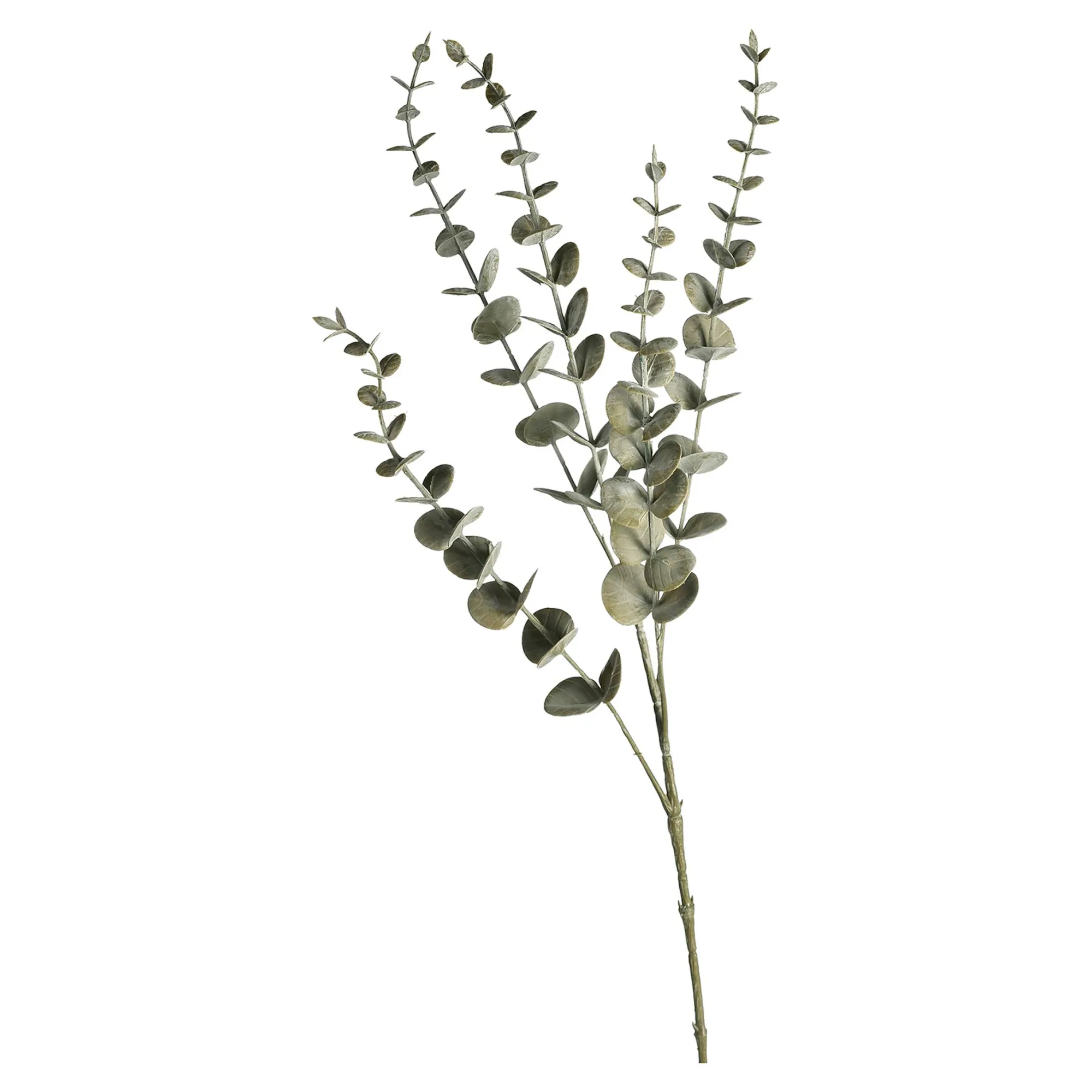 Online Zweig Eukalyptus Modern Ca.74Cm, Creme Fleurs Individuelles
