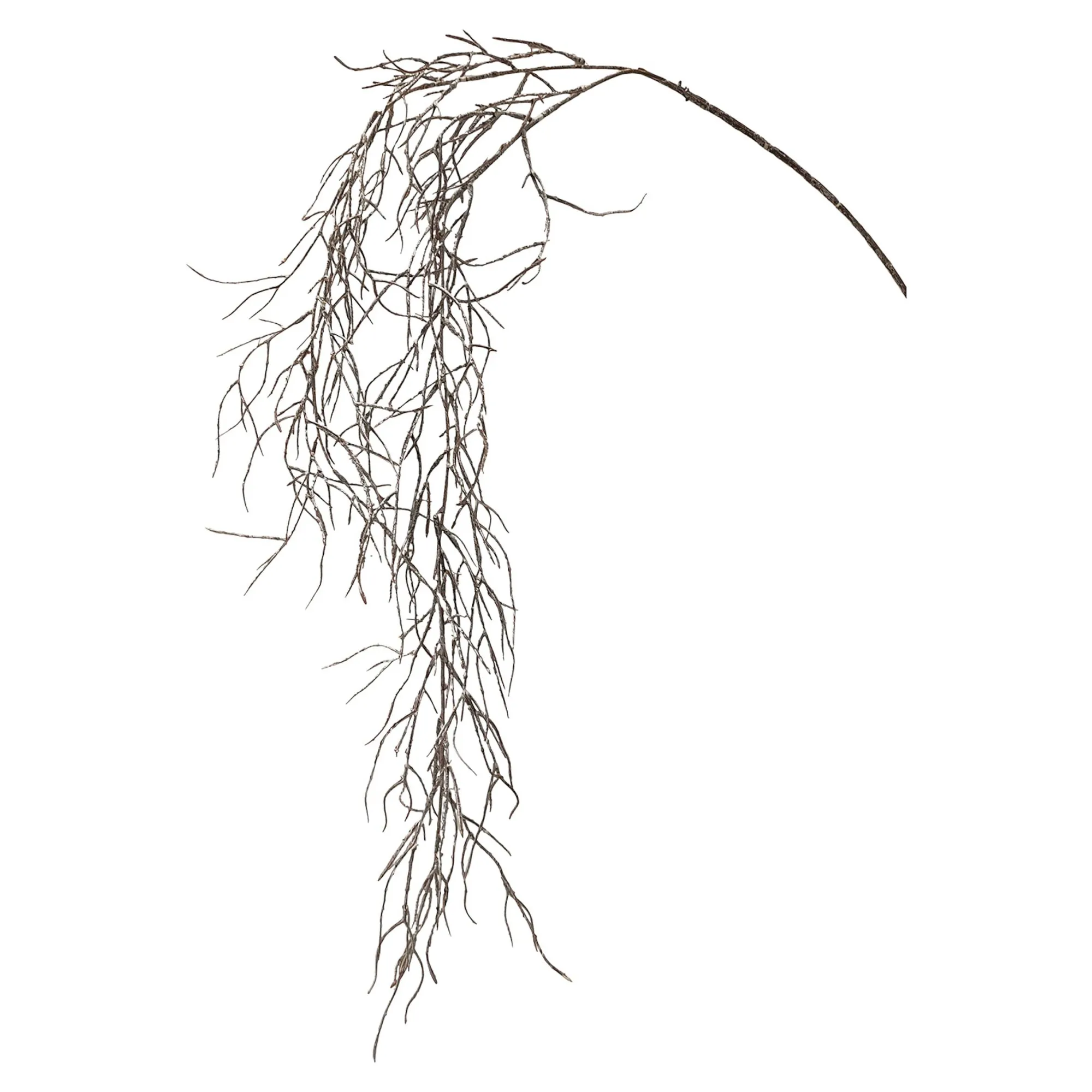 Discount Zweig Tillandsie Hangend Ca. 104Cm Fleurs Individuelles